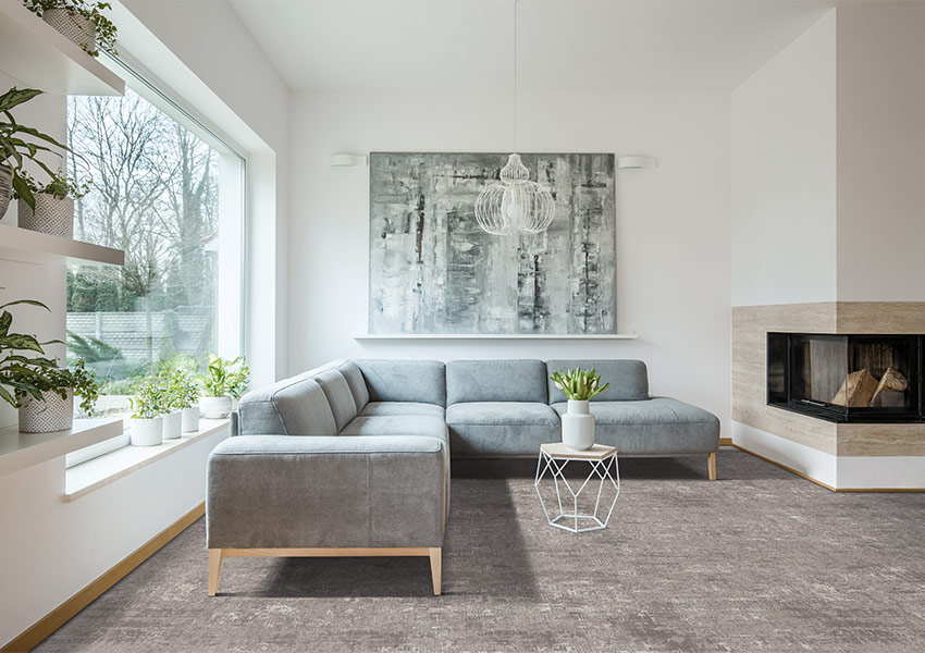 greige pattern carpet in living room with plants